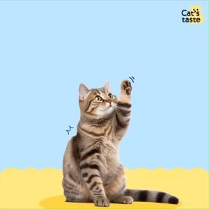 Cats Taste  อาหารเปียกแมวทูน่าในเกรวี่ ไม่เติมโซเดียม ขนาด 75 กรัม คละ 4 รส x 12 ซอง