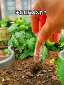 Plants Insecticide Pesticides 200 Tablets Plant Fertilizer Plant Racun Serangga Tanaman 植物肥料 园艺除虫片