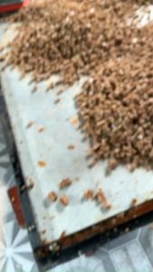 Combo 10kg Đường Mía Hà Thủ Ô + tặng 1kg Đường Mía Hà Thu Ô Hoặc Đường Phên