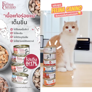 Thức ăn ướt Felina canino thịt miếng và nước hầm cho MÈO