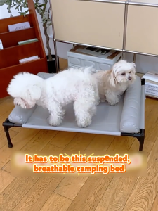 Elevated Dog Bed with L-Shaped Neck Support Pillow Breathable Mesh Raised Pet Cot Moisture Proof Indoor Sleeping Bed Suitable for Cats Medium Dogs