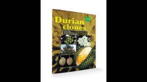 Durian Clones - 51 Registered Clones