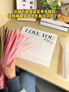 【Empty Love】DIY ลวดกำมะหยี่ ช่อดอกไม้ประดิษฐ์ ดัดง่าย สีพาสเทล น่ารัก ด้วยไฟ ทํดอกไม้ 10 ดอก ของขวัญวันวาเลนไทน์