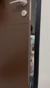 SUSU URRA - Susu Terapi Atasi Masalah Kepadatan Tulang dan Gigi Serta Menurunkan Risiko Osteoporosis - Susu Susu Kambing Saanen Bubuk Premium - Rasa Original 200gr Halal BPOM