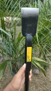 Dodos Kastrasi Sawit Alat Dodos kastrasi Baja