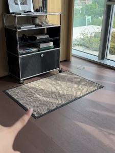 SAIBOSI | Dust-removing Luxury High-end Doormat