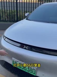For Xpeng G6 2023 2024 2025 2026 Car Air Conditioner Inlet Protection Mesh Anti-Rat Dust Leaves Guard Filter Cover Accessories