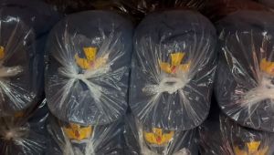 Paket 10 Pcs topi sekolah anak sd bordir