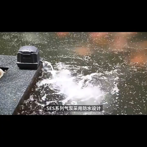 ปั๊มลม Big ดlow ขนาด 40 วัตต์