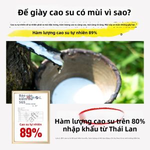 JVBV | Đế Giày Cao Su Hấp Thụ Mồ Hôi Chống Oxy Hóa Thông Khí Chống Khuẩn Cho Nam