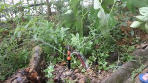 10/20PCS Adjustable Irrigation Dripper & Sprinkler System