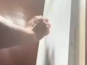 (จัดส่งที่รวดเร็ว)LPP ไล่จิ้งจก ยาฆ่าจิ้งจก ยาฆ่าตุ๊กแก น้ำยาไล่ตุ๊กแก (หนึ่งตัวกินเหยื่อเจล ตายยกรังในที่สุด ฆ่าจิ้งจกตัวใหญ่และตัวเล็กอย่างต่อเนื่อง) กำจัดตุ๊กแก ยากำจัดตุ๊กแก ยากำจัดตุ้กแก ยาไล่จิ้งจก ไล่จิ้งจกถาวร ไล่ตุ๊กแกถาวร ไล่ตุ๊กแก