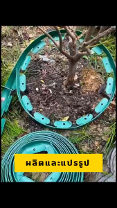 ขอบกันดิน ขอบกั้นดินจัดสวน 10เมตร [ฟรี 45 ตะปู] อย่างดี มีคุณภาพ ใช้งานยาวนาน จัดสวน ที่กันดินไหล กันหิน ที่แบ่งดิน ใช้ 10 ปีไม่พัง