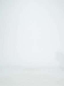 alo yoga Atasan Sukan Leher Bulat T Kemeja Lengan Pendek Yoga Kecergasan Serbaa Bernafas Ais Wanita Cepat Kering