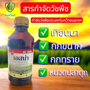(1 ขวด 5 ไร่ )24-ดี ไดเมทิลแอมโมเนียม (24-D dimethylammonium) เป็นสารกำจัดวัชพืชประเภทดูดซึม ออกฤทธิ์ต่อใบและลำต้นของวัชพืช ทำให้พืชมีการเจริญเติบโตผิดปกติและตายในที่สุด
