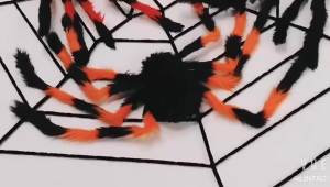 150/250cm Black White Spider Web Giant Stretchy Cobweb For Home Bar Garden Haunted House Horror Props Halloween Party Decoration