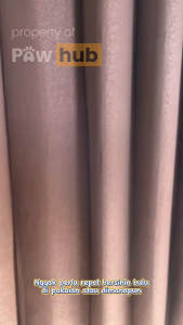 PAWHUB Alat Lint Roller Pembersih Bulu Kucing Anjing Serbaguna (Pakaian Sofa Kasur Karpet) / Roll Pet Hair Removal