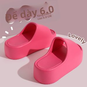 Molly | Thick Sole Summer Indoor Slipper Non-Slip Anti-Odor