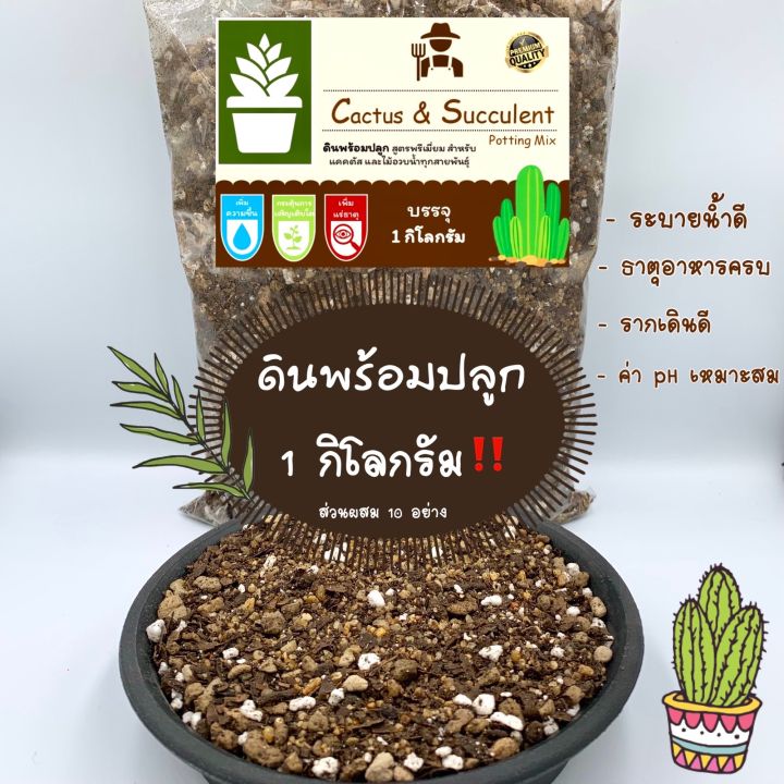 ดินปลูกแคคตัส กระบองเพชร ไม้อวบน้ำ สูตรพิเศษ 1 กก.