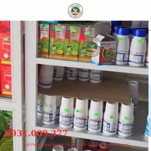 chuyên dùng cho MAI Chế phẩm OMI Clean | DIỆT SẠCH RONG RÊU NẤM ĐỊA Y