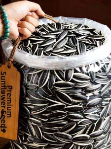 Roasted Five-Spice Original Flavor Sunflower Seeds Extra Large