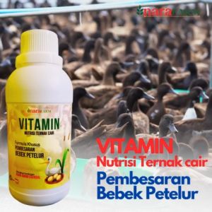 Vitamin bebek Memperbanyak dan Menguatkan Memperkuat Cangkang Telur BebekVitamin pertumbuhan bebek