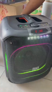 BTS-2187 Double DJ singing speaker color LED charging party karaoke speaker With rechargeable mic