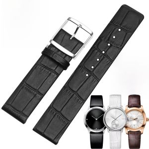 GANG JUE | Original CK Mens And Womens Genuine Leather Watch Straps Replacement Pin Buckle Strap K2Y211 K2Y231 Ultra-Thin Flat Interface
