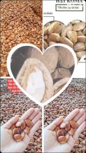 1KG HẠT KONIA NGUYÊN VỊ BÉO NGẬY
