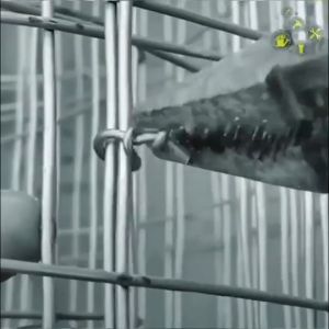 M-Type Nail Ring Pliers & Wire Clips Kit: Chicken Cage Clamp Tool