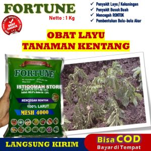 Obat Layu Tanaman Kentang FORTUNE 1 KG | Solusi Ampuh Cegah Layu Fusarium dan Bakteri Lindungi Akar Perkuat Tanaman Tingkatkan Daya Tahan Umbi Fungisida-Bakterisida Efektif untuk Panen Kentang Berkualitas dan Optimal