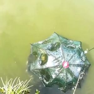 Bingolife Bubu Berbentuk Lipat Alat Tangkap Pancing Payung Automatis Perangkap Bubu Payung Automatis Menagkap Kepiting Udang Lele Lobster Rajungan di Danau Sungai 6 Lubang 8 Lubang 10 Lubang 12 Lubang 16 Lubang