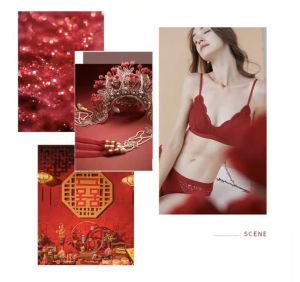 SET ĐỒ LÓT NỮ KHÔNG GỌNG CÓ THỂ THAY MÚT KÈM QUẦN TAM GIÁC PHỐI REN MỀM MẠI SUGAR SET S370 Braletteshousevn