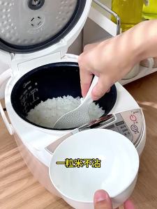 CHAHUA | Standalone Non-stick Food-grade Heat-resistant Rice Spoon