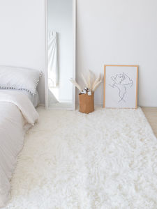 HONGLIDA | Luxurious Fluffy Thick Carpets