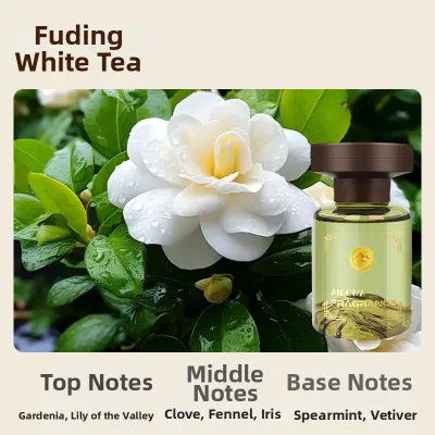 Nature Inspired Car Fragrance Scent Enhancement & Air Purification