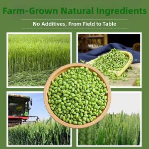 Organic Unprocessed Barley Grains
