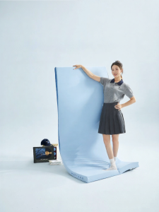 Boyang Home Textile | Slow Rebound Memory Foam Mattress Student