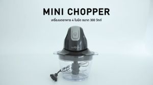 IWACHI เครื่องบดอาหาร 4 ใบมีด Mini Chopper 300W สแตนเลสคุณภาพดี จุอาหารได้มาก ใช้งานง่าย