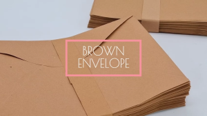 FMP 50pcs Brown Envelope for School and Office Use Short/Long Size
