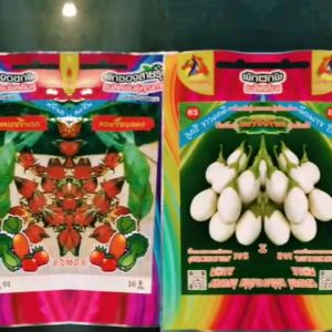 CHIATAI 🇹🇭 เมล็ดพันธุ์ผักบุ้งจีน เรียวไผ่ มหาทรัพย์ ขนาด 1kg  ระยะเก็บเกี่ยว 20-25 วัน ผักบุ้ง ผักบุ้งจีน เจียไต๋  Chinese Convolvulus