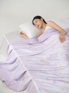 TAIHU SNOW | Silk Summer Air Conditioner Quilt Washable
