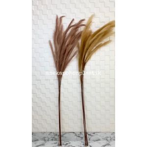 Tanaman Hias Bunga Kering Rustik Pampas Grass Dried Flowers Dekorasi Hiasan Pajangan Ruangan Rumah Aesthetic