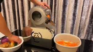 FISHERMAN Multi-Functional Electric Shredder Vegetable And Fruit Slicer Commercial Household Food Carrot Potato Cutting Machine