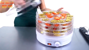 Electric food dehydrator with 5 stackable trays adjustable thermostat electric food preservative meat vegetables nuts