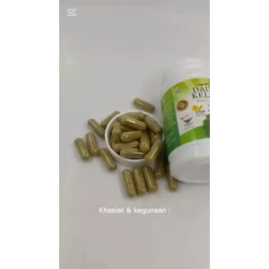 DAUN KELOR KAPSUL EKSTRAK DAUN KELOR INAYAH TERBAIK ISI 60 kapsul