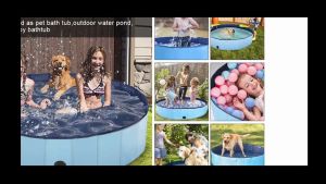 Variation Dog Pool & Foldable Kiddie Pool: A Perfect Choice for Kids & Puppies
