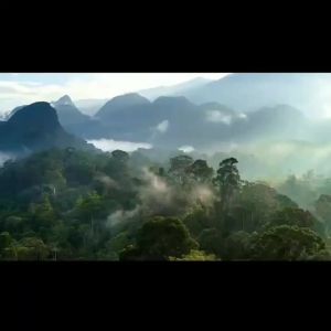 Toddler Bicycle Balance Bike For Toddler Kids Balance Bike With Training Balance Bike For Kids Two-Wheeled Skating