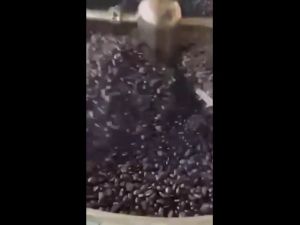 เมล็ดกาแฟดอยช้างพรีเมี่ยม เกรดAA+ เมล็ดกาแฟอราบิก้า100 % กาแฟคั่วอ่อน GRADE A เมล็ดกาแฟสดคั่วบด บรรจุถุงซิปล๊อคติดวาล์ว 250กรัม ส่งฟรี