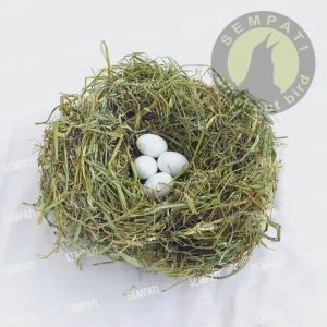 SEMPATI Serat Jerami Hijau Organic Sarang Burung Wadah Tempat Telur Telor Bertelur Kenari Murai Lovebird Merpati Kacer Cucak Trucuk Dara Perkutut Susuh Ngeram Ngerem Eram Telur Ternak Burung